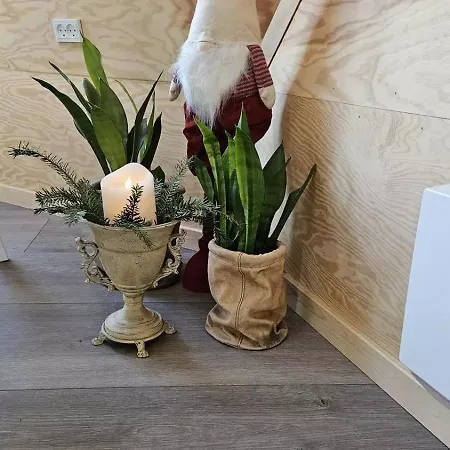 Turtelduen Casa vacanze *