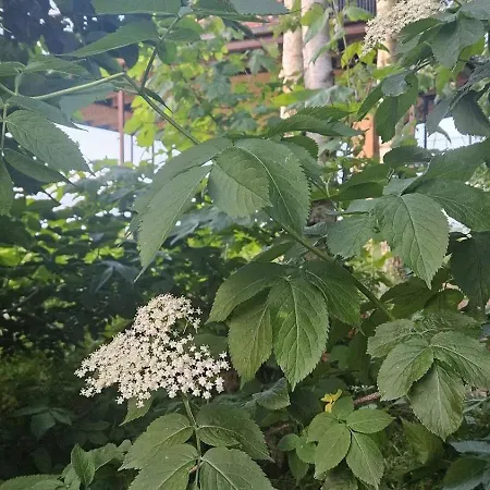 Turtelduen Casa vacanze *